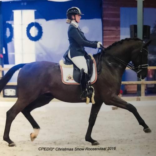 Quatre Athlètes Paralympiques Belges Aux Mondiaux D’équitation ...